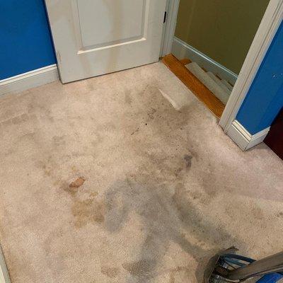 VIP Universal Services