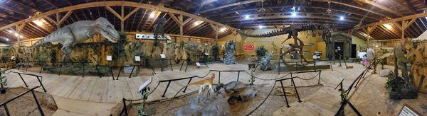Dinosaur Museum