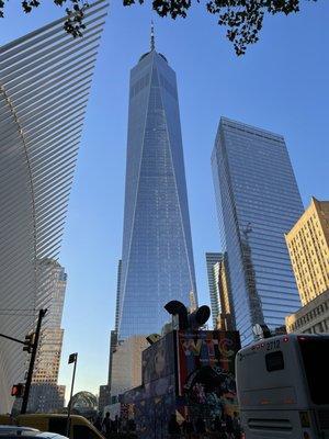 Big Apple Cleaning Service