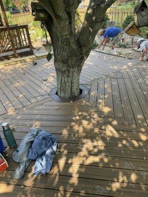 Double D Construction