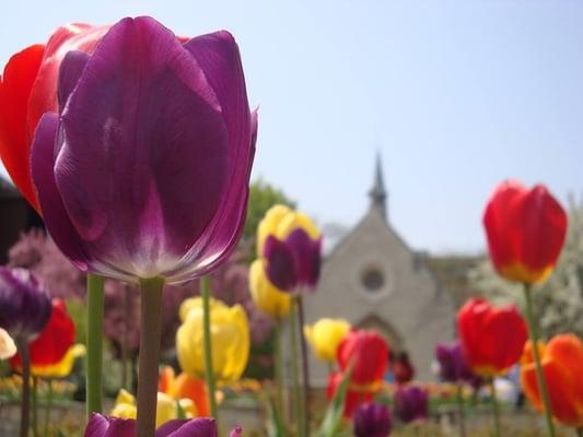 Marquette University