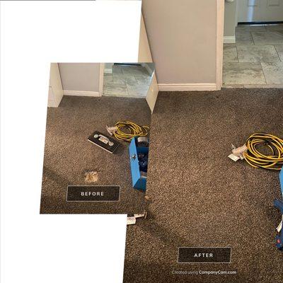 Orange County Carpet Repair and Cleaning