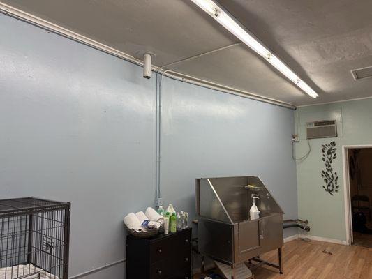 Dog grooming by Lauren