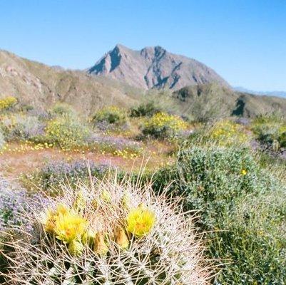 Hellhole Canyon Trail