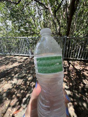 Rookery Bay Environmental Learning Center