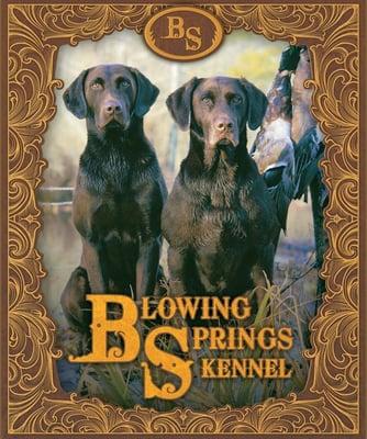 Blowing Springs Kennel of Atlanta