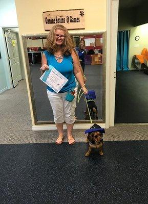 Canine Brains & Games LLC