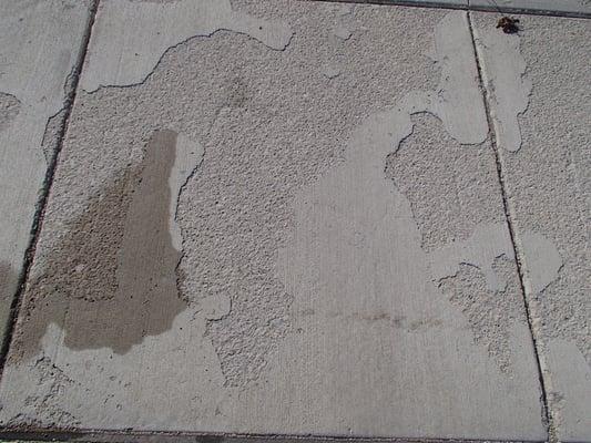 Sidewalk at 9 months.