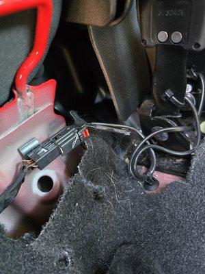 Torn carpets. I've never even had this seat down.