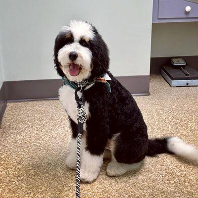 Swimming River Veterinary Hospital