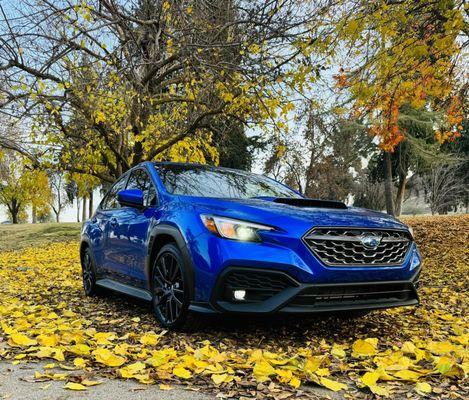 Kern Auto Tint Specialist