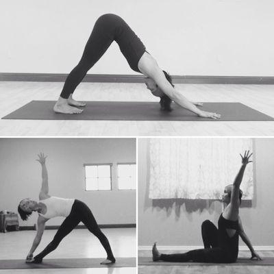 Sequoia Kung Fu & Yoga