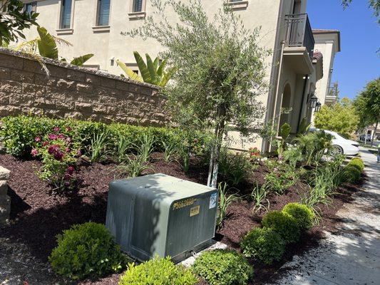 Monte Vielo Landscape