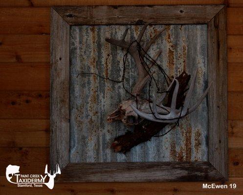 Paint Creek Taxidermy