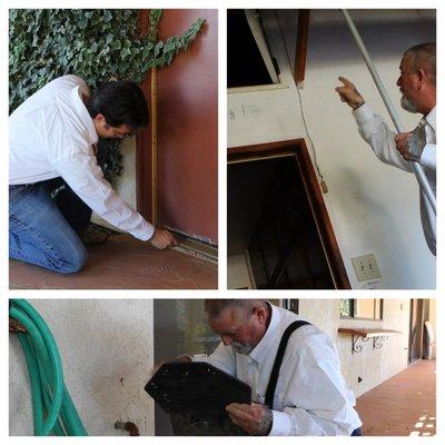 Bonsall Pest Control