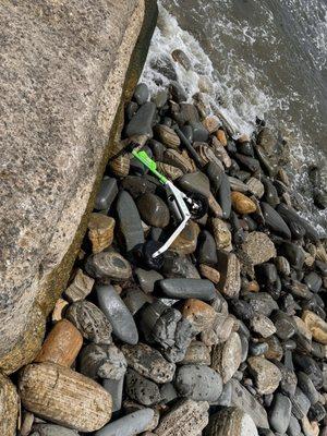 Point Fermin Marine Life Refuge