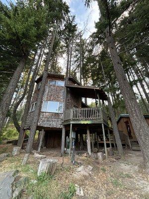 Treehouse Tranquil-A-Tree At Lothlorien Woods