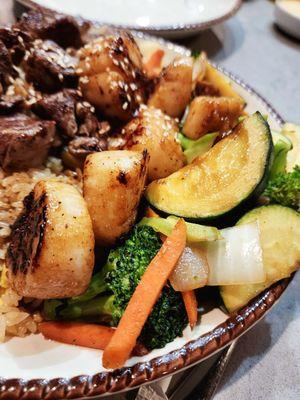 Fujiyama Japanese Steakhouse