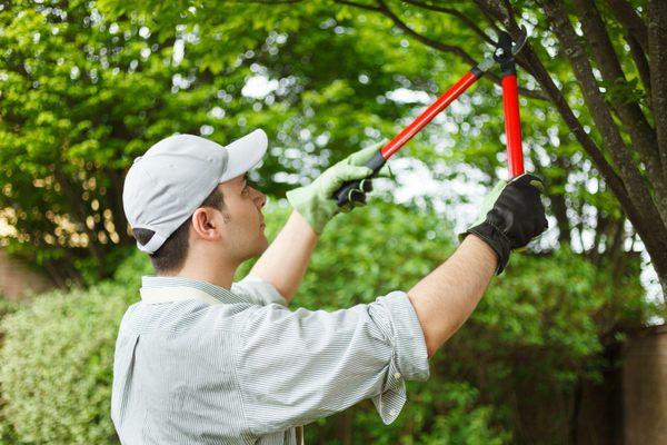 American Lawn Cutters