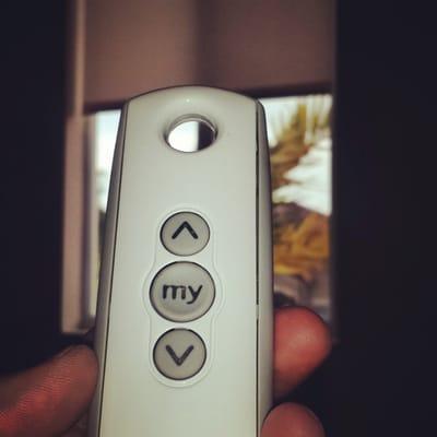 roller shades motorized