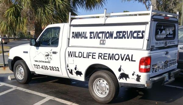 Animal Eviction Services