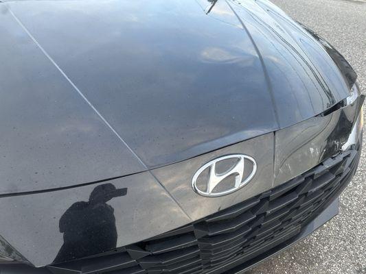 Frankie M's Auto Body