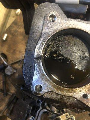 Freeland Power Equipment Repair