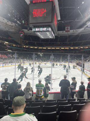 Minnesota Wild
