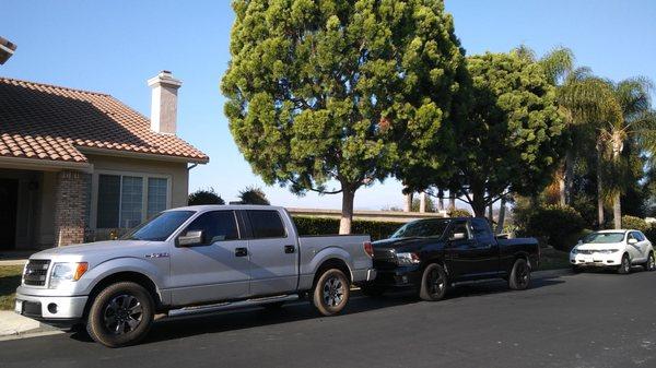 Bowman Plant & Tree Care Specialists