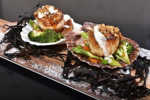 Marc Burgess Photography