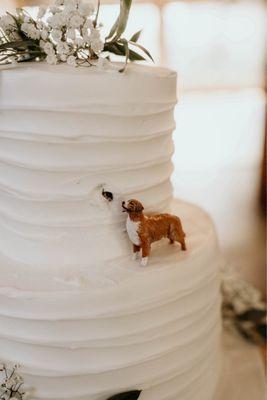 Alice's Piece of Cake