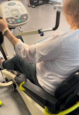 CAM Physical Therapy and Wellness Services