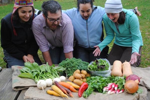 A sample share from October 2014. This is the size and variety of vegetables you can expect from a share.