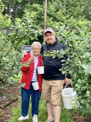 Bartlett's Blueberry Farm