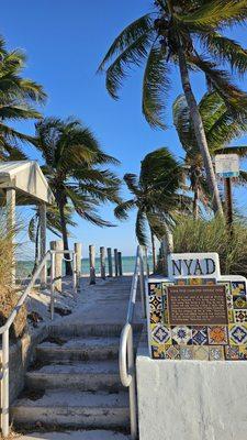 Nyad swam from Cuba to here