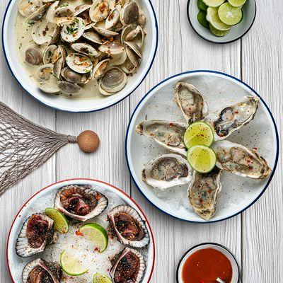 Oysters on the half shell