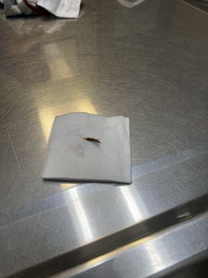 Antelope Veterinary Clinic