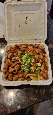 The chicken teriyaki with extra meat.