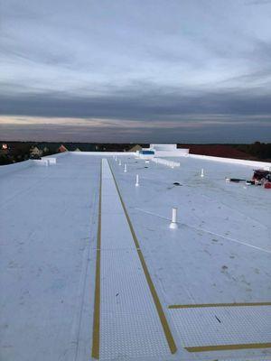 The Lion Roofing