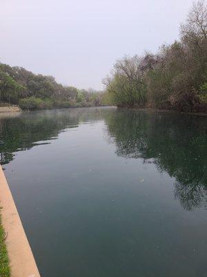 Dive Time! Comal river