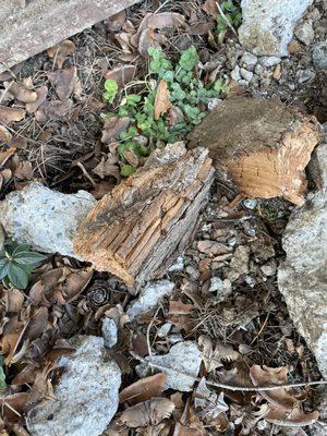 Creative Fencing & Wall