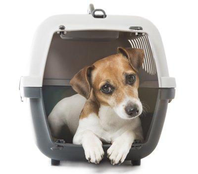 Jobi's Ride Services