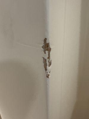 Furniture Refinishing