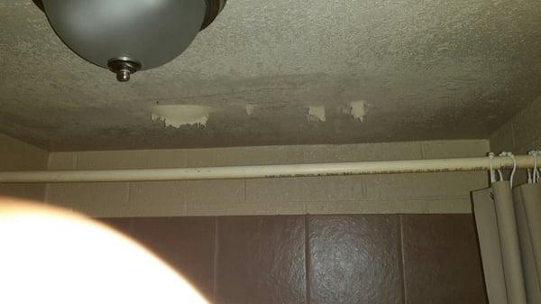 These are just a few pics of the work they ate not doing