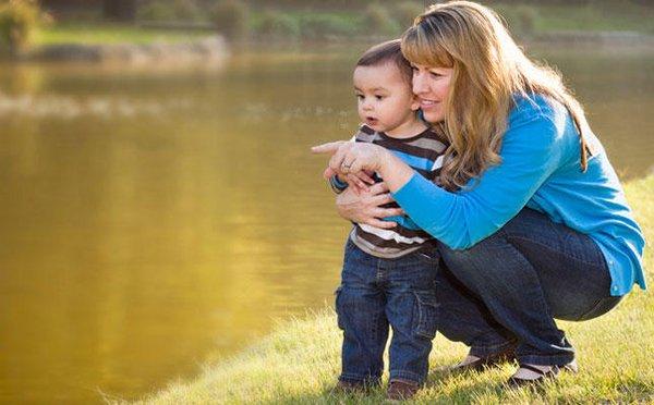 Law Office Of Carol Hill