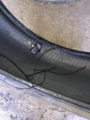 Zeus Tire