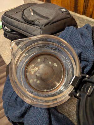 Mold and residue coffee in the coffee pot from a prior guest.