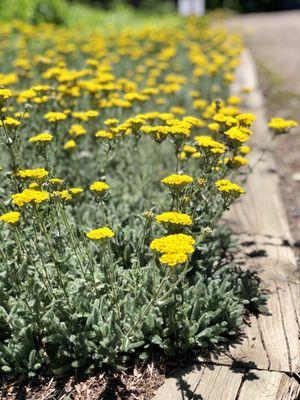 Yampa River Botanic Park
