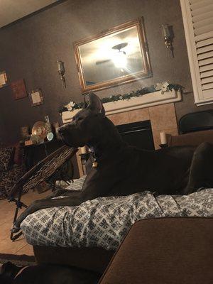 Hassan Robinson- RE/MAX Gold