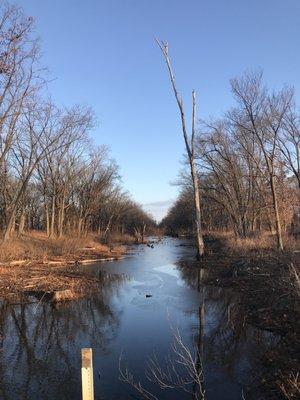 Gibson Woods Nature Preserve